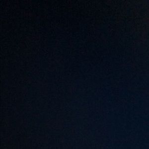 Meet your Posher, Sylvia